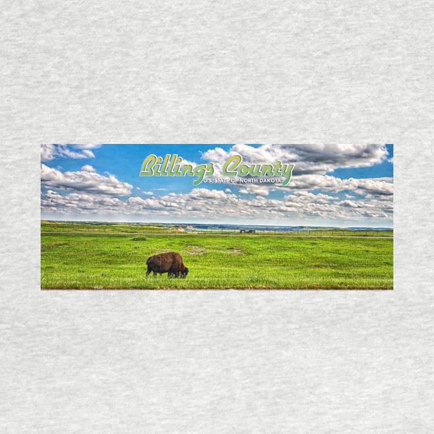 American Bison Grazing Billings County North Dakota by Gestalt Imagery